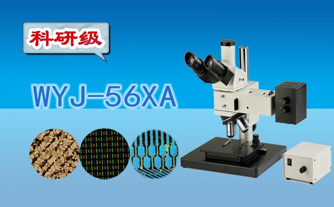 三目金相显微镜WYJ-56XA