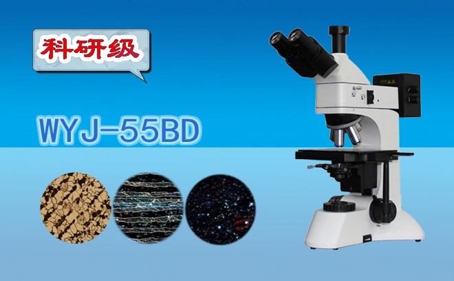 三目暗场金相显微镜WYJ-55BD