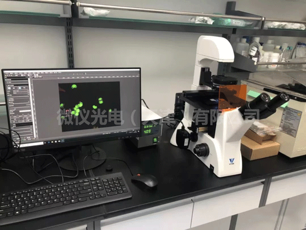 微仪细胞检测显微镜走进天津中医药大学